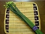 Eigenschaften tropical.garden  / Schnittknoblauch - Allium tuberosum 100K
