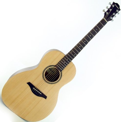 Hohner Parlor Size Acoustic EL-SP Plus