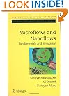 Microflows and Nanoflows: Fundamentals and Simulation (Interdisciplinary Applied Mathematics)