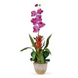 New Nearly Natural Star Bromeliad/Orchid Combo Silk Arrangement Perfect Brilliant Orchid/Cream/White