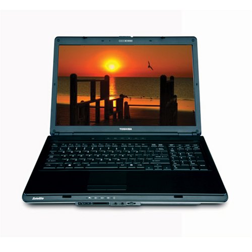 Toshiba Satellite L355-S7817 17.0 Laptop (1.86 GHz Intel Pentium Dual-Core T2390 Processor, 3 GB RAM, 160 GB Hard Drive, DVD Drive, Vista Premium) Blue
