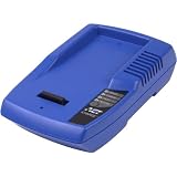 Advanced Charger iCHARGE Charger/Conditioner, 1 Bay, Base Only