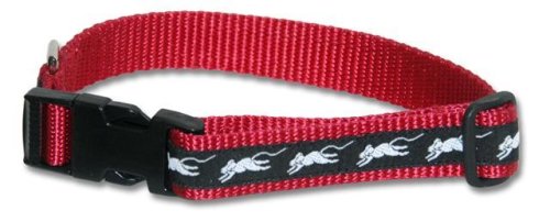 Designer Rat Cat Collar - Black and White Trim on Red Collar - Small - Made in USA
