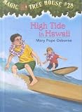 High Tide in Hawaii
