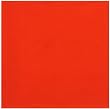 Durable Flat Weave 100% Cotton Colorful Solid Neon Orange Tablecloth 60x60 Inches