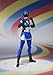 S.H.Figuarts Akiba Blue by Bandai