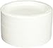 Genuine Joe Reusable Plastic White Plates, 9