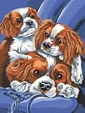 Eigenschaften Mammut A30PPNJ46 / Spaniels - Malen nach Zahlen