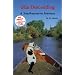 Gila Descending: A Southwestern Journey