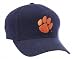 Clemson Tigers Fiber Optic Hat