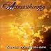 Acoustitherapy Vol. IV - World Meditations
