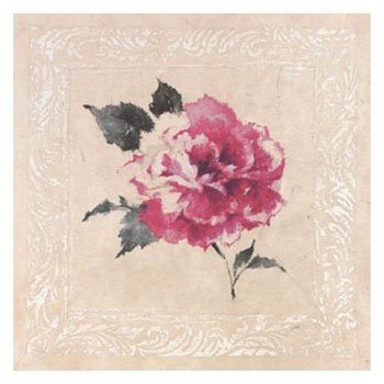 411P2YEVT2L Jardin Rose lV Botanical Art Poster Print by Rue De La Paix, 13x13