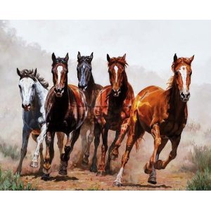 Western Theme Shower Curtains