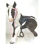 Butterscotch S'Mores Interactive Horse Saddle Set - Butterfly