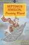 Septimus Similon Practising Wizard (Silver)