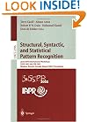 Structural, Syntactic, and Statistical Pattern Recognition: Joint IAPR International Workshops SSPR 2002 and SPR 2002, Windsor, Ontario, Canada, August ... (Lecture Notes in Computer Science)