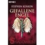 Shadowrun. Gefallene Engel: 3 Shadowrun-Romane