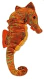 Seahorse 13 &acute; - B000FAIBZG