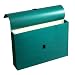 Wilson Jones ColorLife File Wallets with Velcro Grippers, 3.5 Inch Expansion, 10 x 15 Inches, Green, 10 Wallets Per Box (WCC722-4G)
