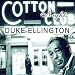 The Cotton Club-Cotton Club Nights