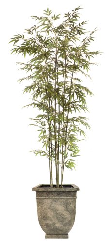 7FT BAMBOO TREE/2PC