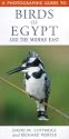 A Photographic Guide to Birds of Egypt and the Middle East (Photographic Guides)
