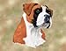 Boxer, Fawn Woven Lap Square (Throw Blanket)
