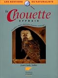 La chouette effraie