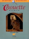 La chouette effraie