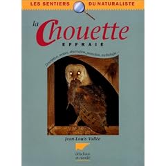 La chouette effraie