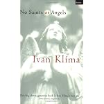 No Saints or Angels book cover