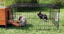 Black Rectangular Rabbit Guinea Pig Playpen Run 6248
