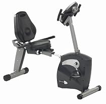 Schwinn 213 Recumbent Exercise Bike