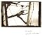 Favourite Albums (24.06.07)
