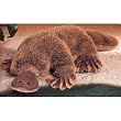 PLATYPUS PLUSH TOY 18"