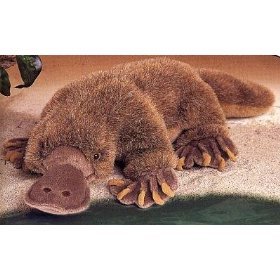 Plush Platypus 18\
