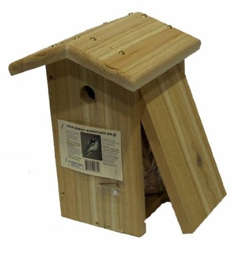 Songbird Essentials SESC1033C Downey Bird House