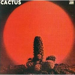 Cactus