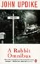 Rabbit Omnibus Uk