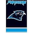 AFCP Panthers 44x28 Applique Banner