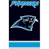 Carolina Panthers Applique Banner Flag