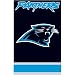 Carolina Panthers Applique Banner Flag