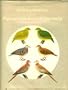 Pigeons and Doves of the World