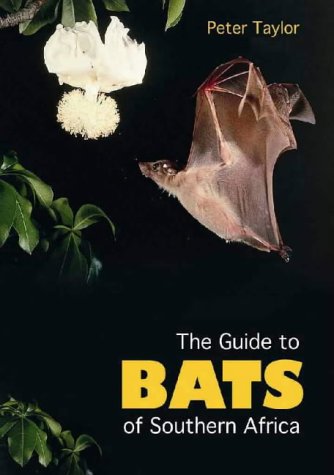 Bats
