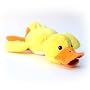 "Huck" the Flying Duck (Temporarily Sold Out until 2/10/07)