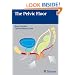 The Pelvic Floor