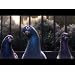 Product Video: Clip: NY pigeons, pre