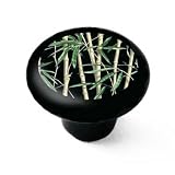 Bamboo Furniture