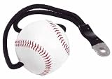 Stamina Gyrotonic Baseball Set Accessory with Video