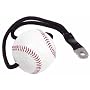 Stamina Gyrotonic Baseball Set Accessory with Video